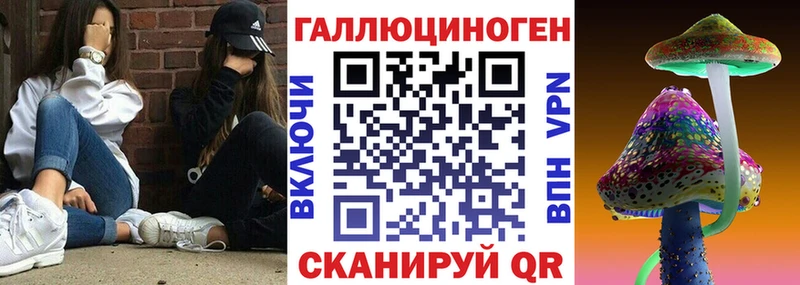 мега   Малая Вишера  Галлюциногенные грибы мицелий 